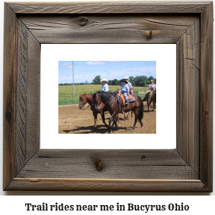 trail rides near me in Bucyrus, Ohio